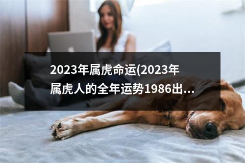 2023年属虎命运(2023年属虎人的全年运势1986出生)