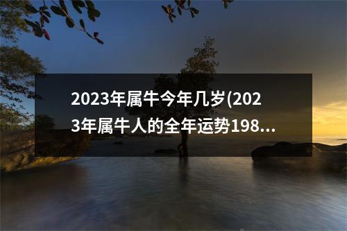 2023年属牛今年几岁(2023年属牛人的全年运势1985出生)