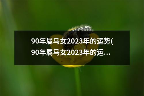 90年属马女2023年的运势(90年属马女2023年的运势和婚姻)