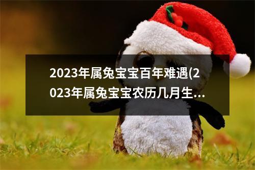 2023年属兔宝宝百年难遇(2023年属兔宝宝农历几月生)