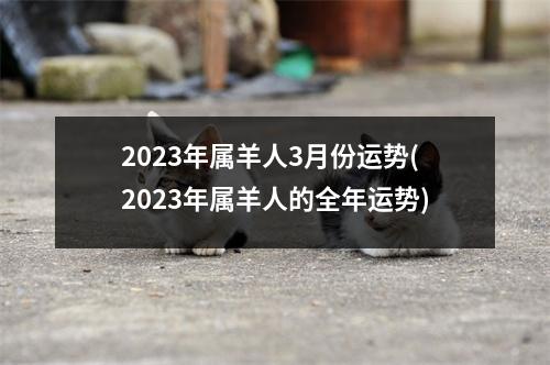 2023年属羊人3月份运势(2023年属羊人的全年运势)