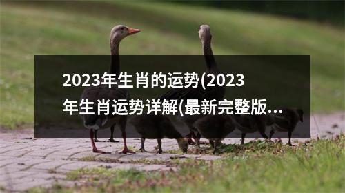 2023年生肖的运势(2023年生肖运势详解(最新完整版))