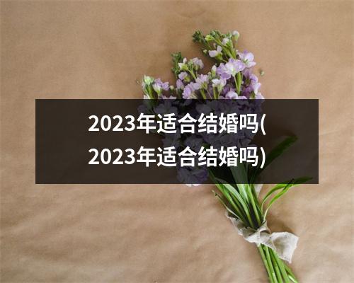 2023年适合结婚吗(2023年适合结婚吗)