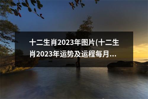 十二生肖2023年图片(十二生肖2023年运势及运程每月运程)