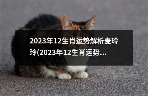 2023年12生肖运势解析麦玲玲(2023年12生肖运势解析完整版)