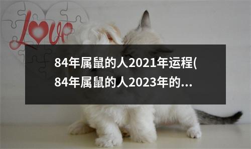 84年属鼠的人2021年运程(84年属鼠的人2023年的运势及运程)