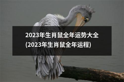 2023年生肖鼠全年运势大全(2023年生肖鼠全年运程)