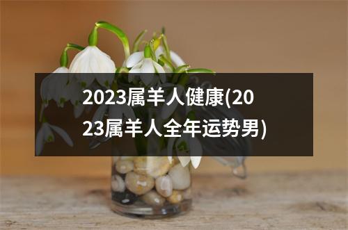 2023属羊人健康(2023属羊人全年运势男)