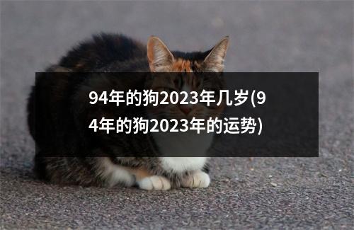 94年的狗2023年几岁(94年的狗2023年的运势)