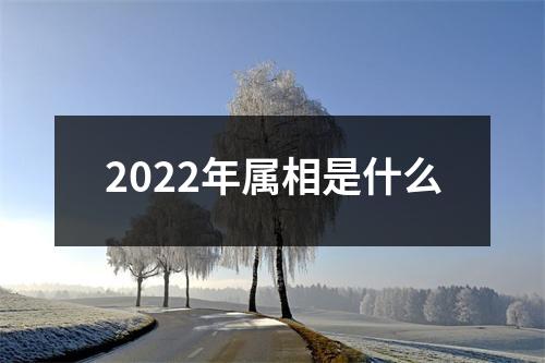 2022年属相是什么