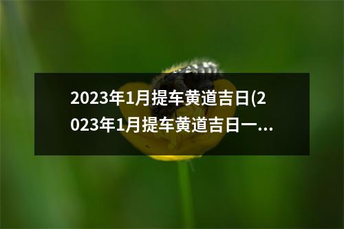 2023年1月提车黄道吉日(2023年1月提车黄道吉日一览表)