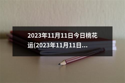 2023年11月11日今日桃花运(2023年11月11日适合结婚吗)
