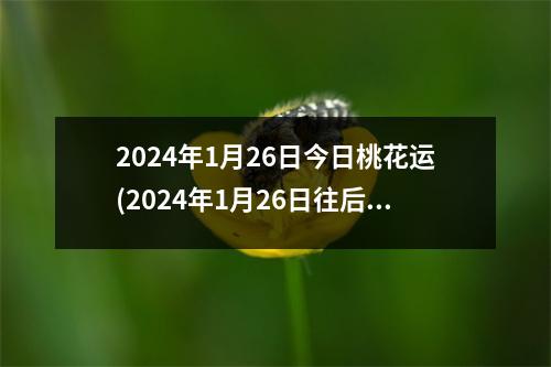 2024年1月26日今日桃花运(2024年1月26日往后35天是多少号)