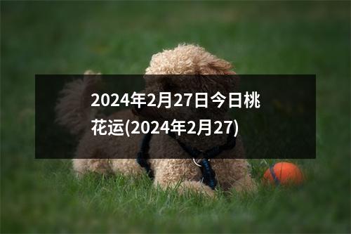 2024年2月27日今日桃花运(2024年2月27)