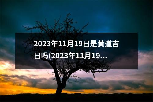 2023年11月19日是黄道吉日吗(2023年11月19日黄历)