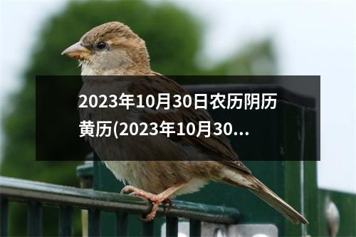 2023年10月30日农历阴历黄历(2023年10月30日适合结婚吗)