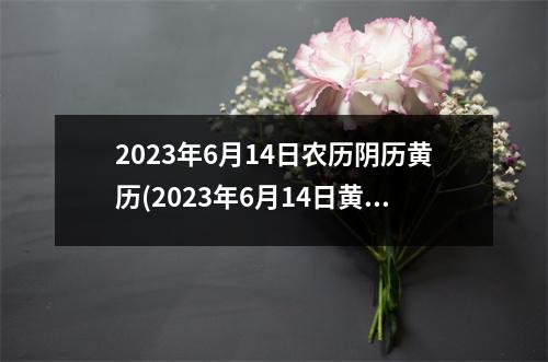 2023年6月14日农历阴历黄历(2023年6月14日黄历查询)
