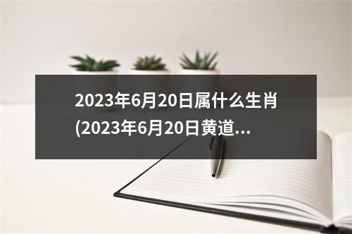 2023年6月20日属什么生肖(2023年6月20日黄道吉日查询)