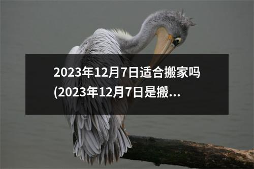 2023年12月7日适合搬家吗(2023年12月7日是搬家的黄道吉日吗)