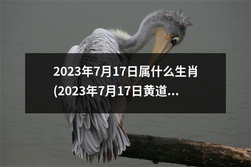 2023年7月17日属什么生肖(2023年7月17日黄道吉日)