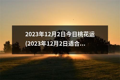 2023年12月2日今日桃花运(2023年12月2日适合结婚吗)