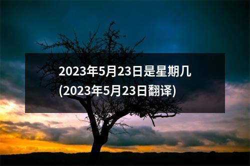 2023年5月23日是星期几(2023年5月23日翻译)